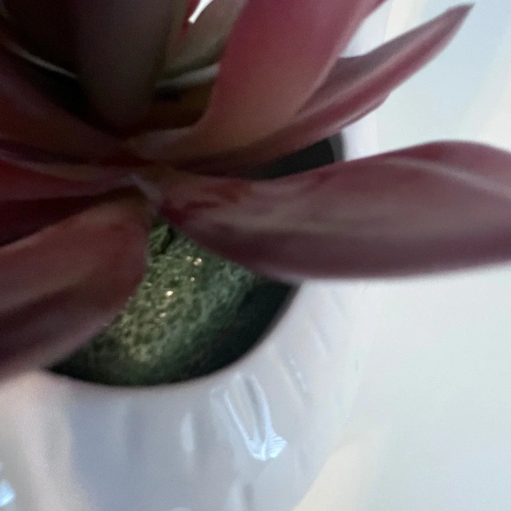 Primitives by Kathy White Ceramic Llama Planter with Faux Burgundy Succulent‎